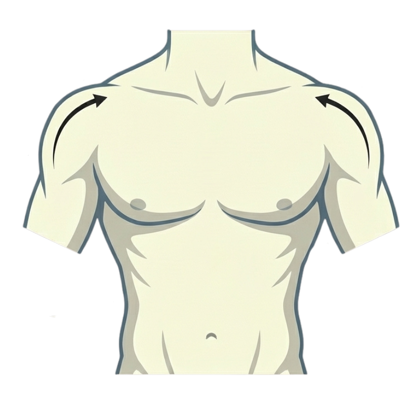 Der periareoläre Schnitt